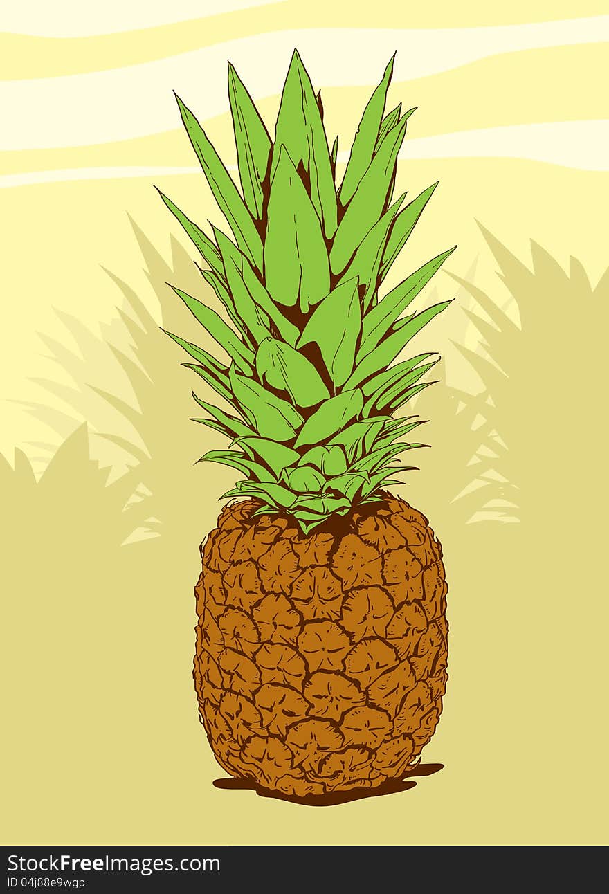 Pineapple