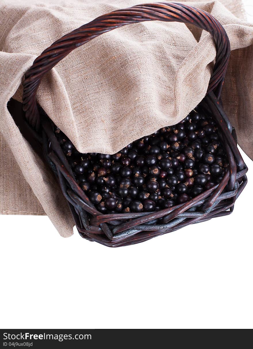 Black currant berry in wood basket