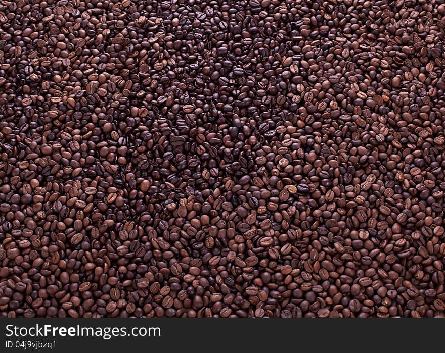 Coffee beans full frame many beans. Coffee beans full frame many beans