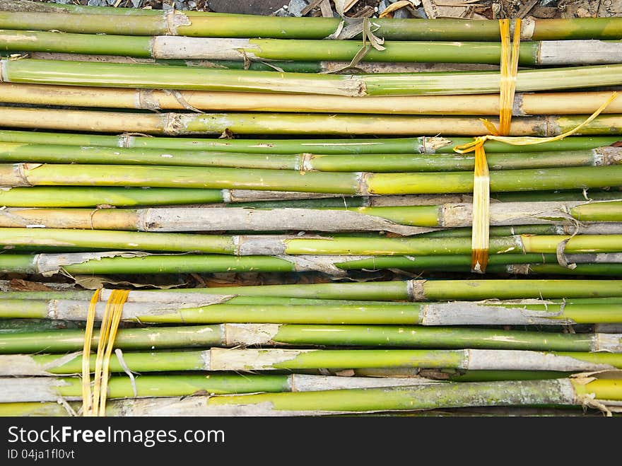 Bunch of bamboo