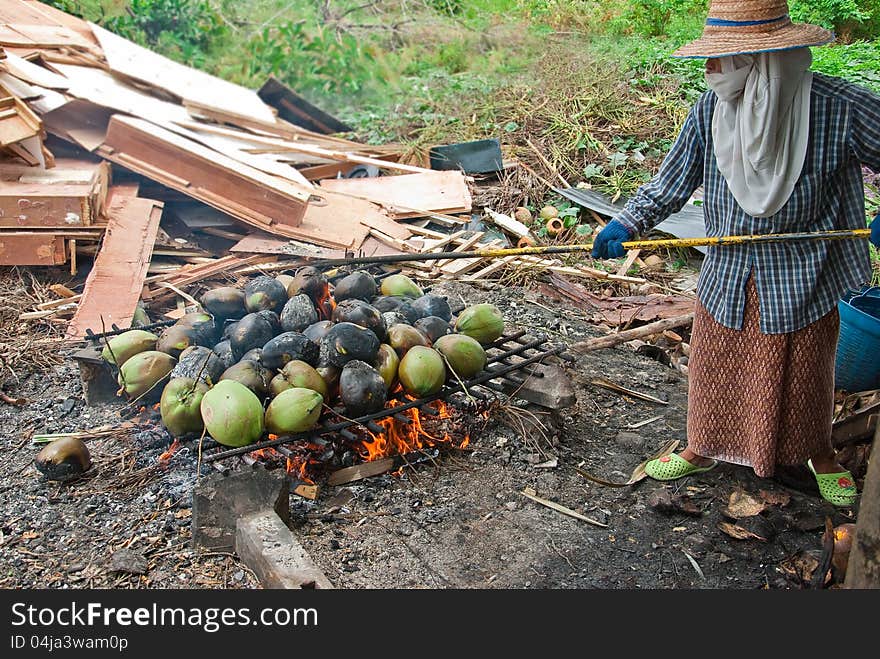 Burnt Coconuts