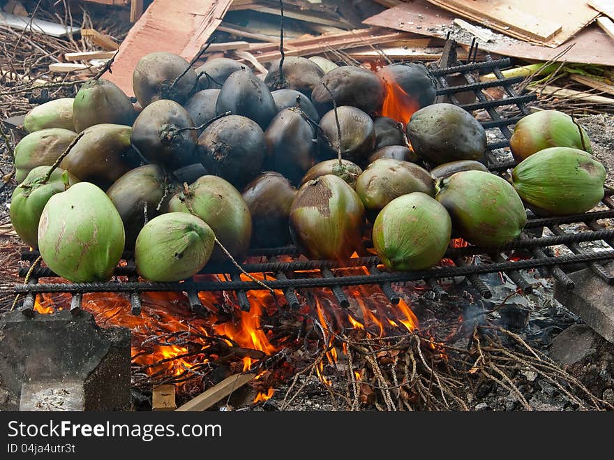 COCONUTS BURNED ON A BONFIRE. COCONUTS BURNED ON A BONFIRE