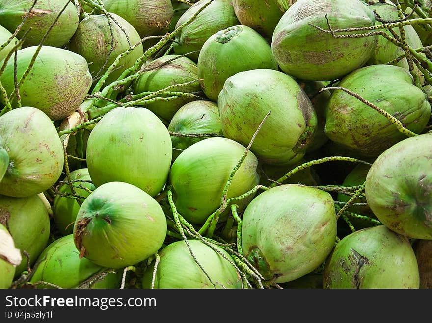 PILE OF FRESH COCONUTS FROM PLANTATION