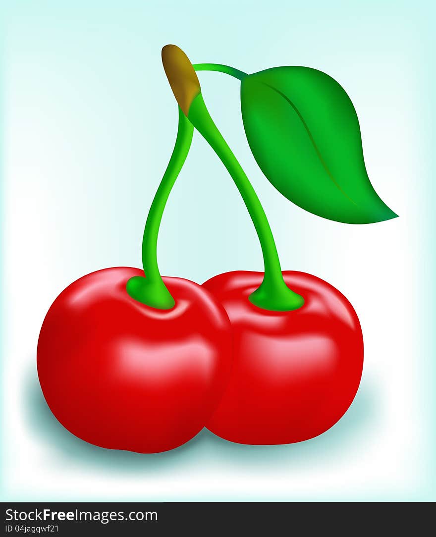 Fresh cherries on a white background. Vector version