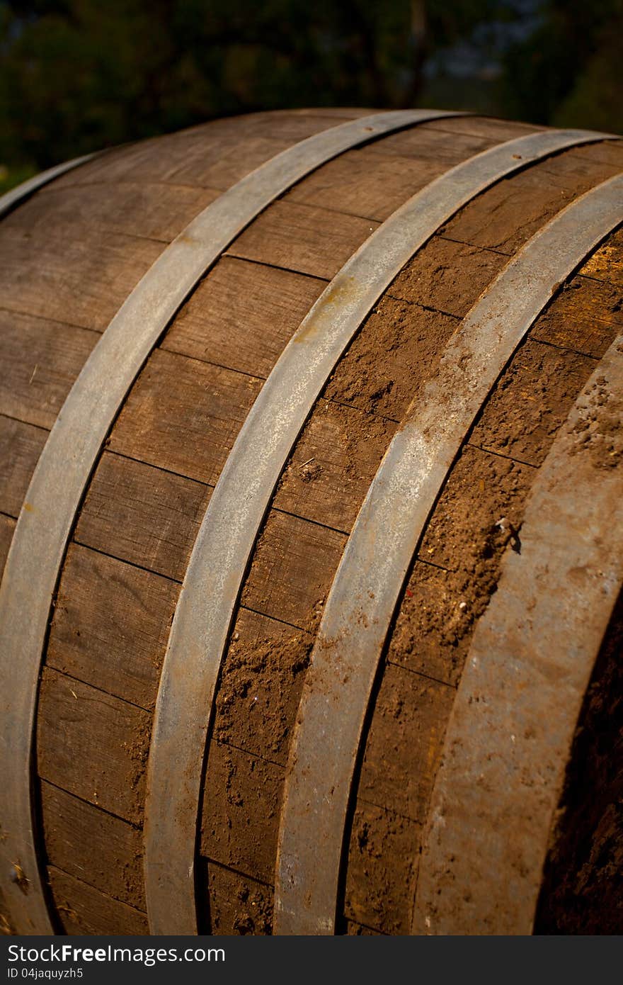 Old Wine Barrel in Cellar, Napa Valley, California