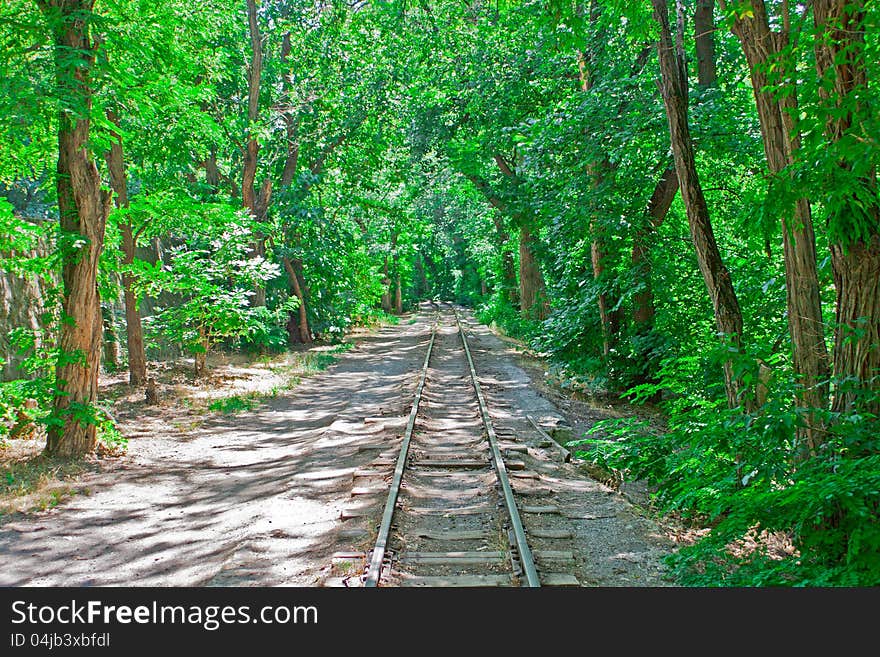 Railway In Kids Garden