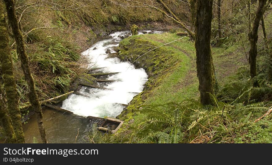 Primative Salmon Fish Ladder Oregon Outback