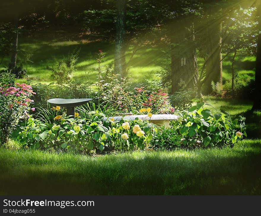 Image of a ray of light shining on a flower bed