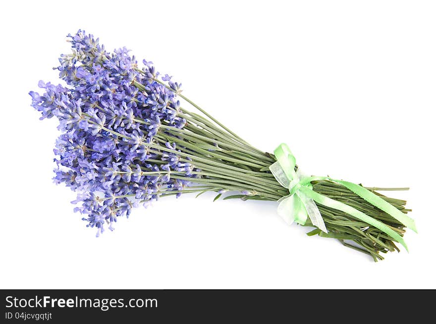 Bunch of lavender flowers  on  a white background