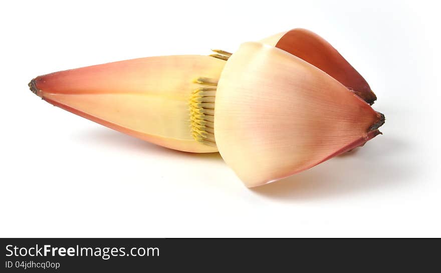 Fresh banana flower isolated on white background. Fresh banana flower isolated on white background