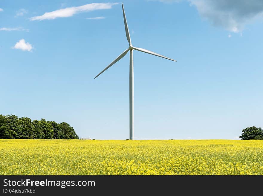 Wind propelled turbine generating electricity. Wind propelled turbine generating electricity