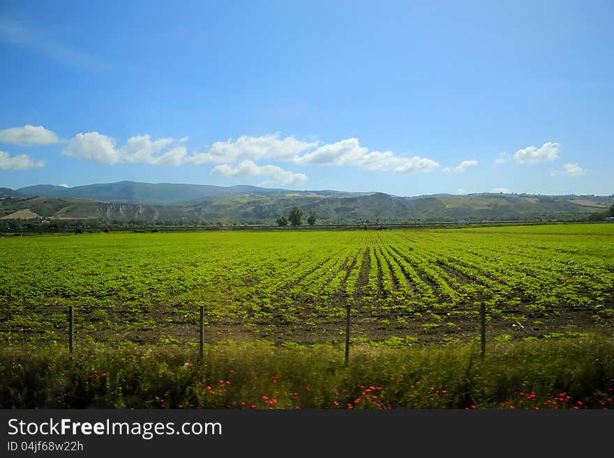 Green landscape in Tuscany, Italy