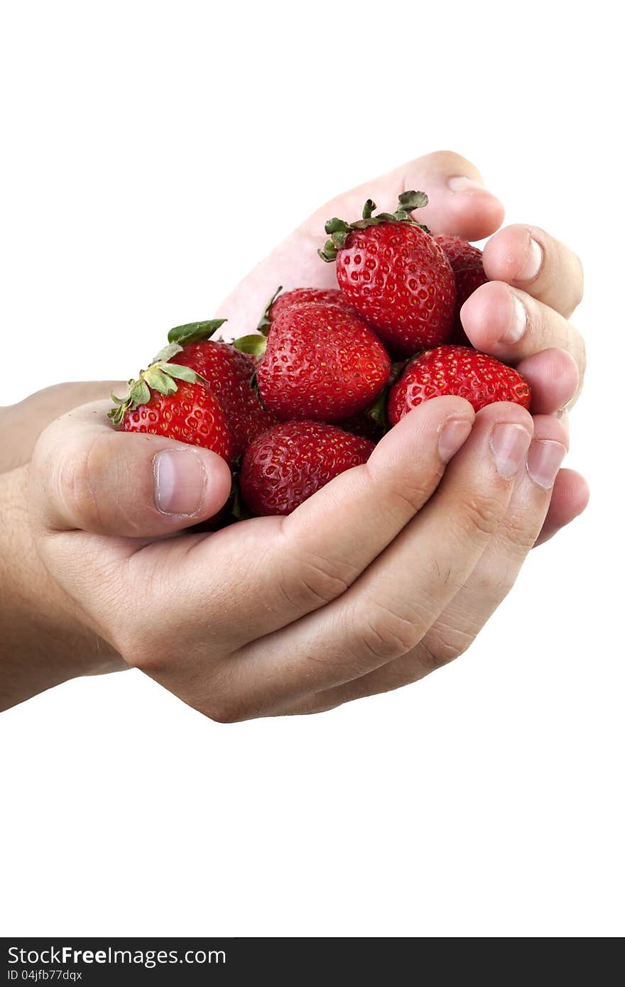 strawberries in hand on white background