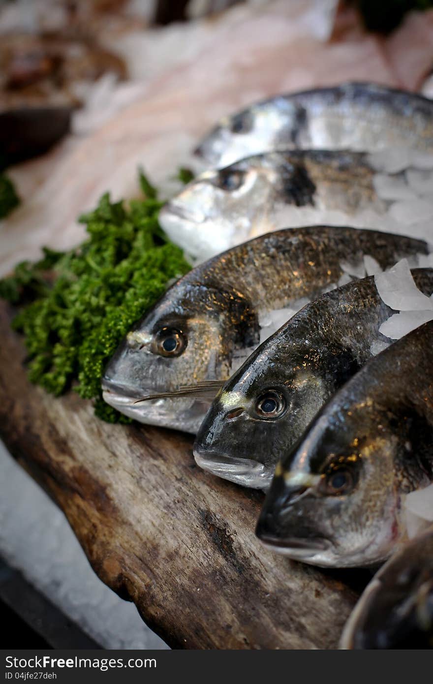 Close-up of fishes on a counter at the food market.