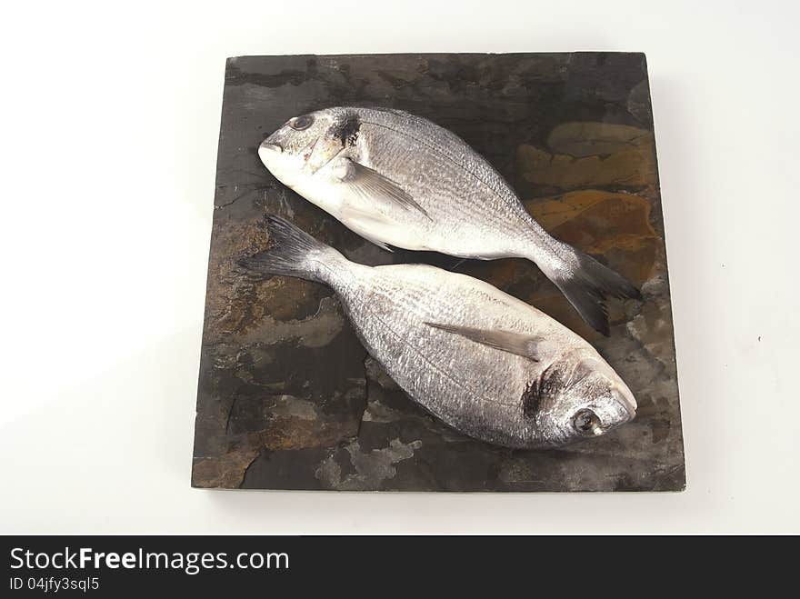 Sea Bream