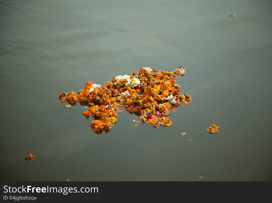 Floating flowers in river