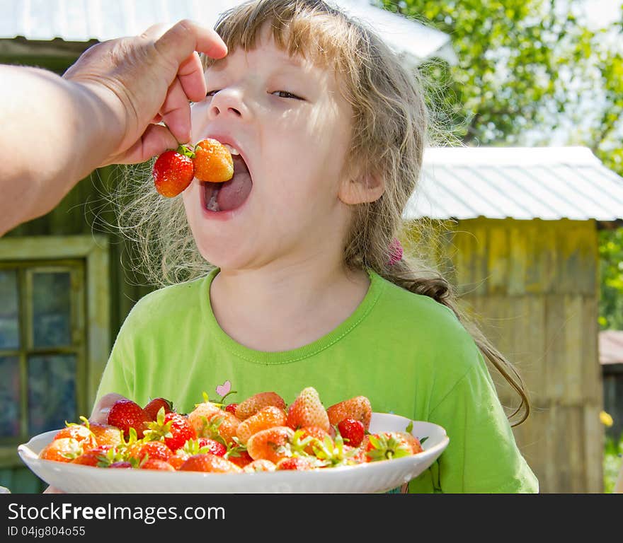 The grandmother feeds the granddaughter with strawberry. The grandmother feeds the granddaughter with strawberry