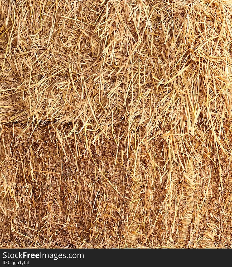 Closeup of dry grass straw background. Closeup of dry grass straw background