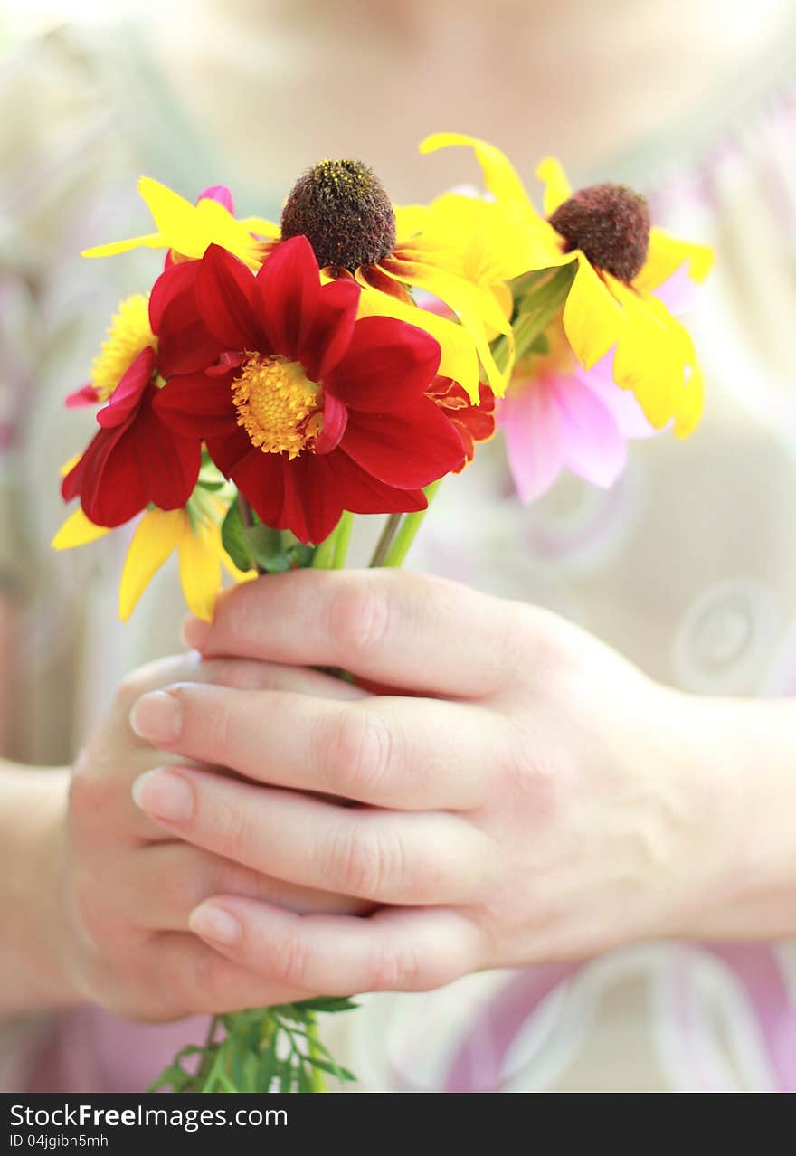 Gloriosa Daisy & Dahlia on a womans background. Gloriosa Daisy & Dahlia on a womans background