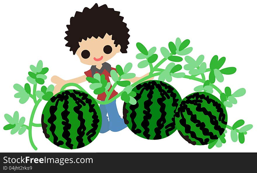 A boy is cultivating watermelons for his home works of summer vacation.