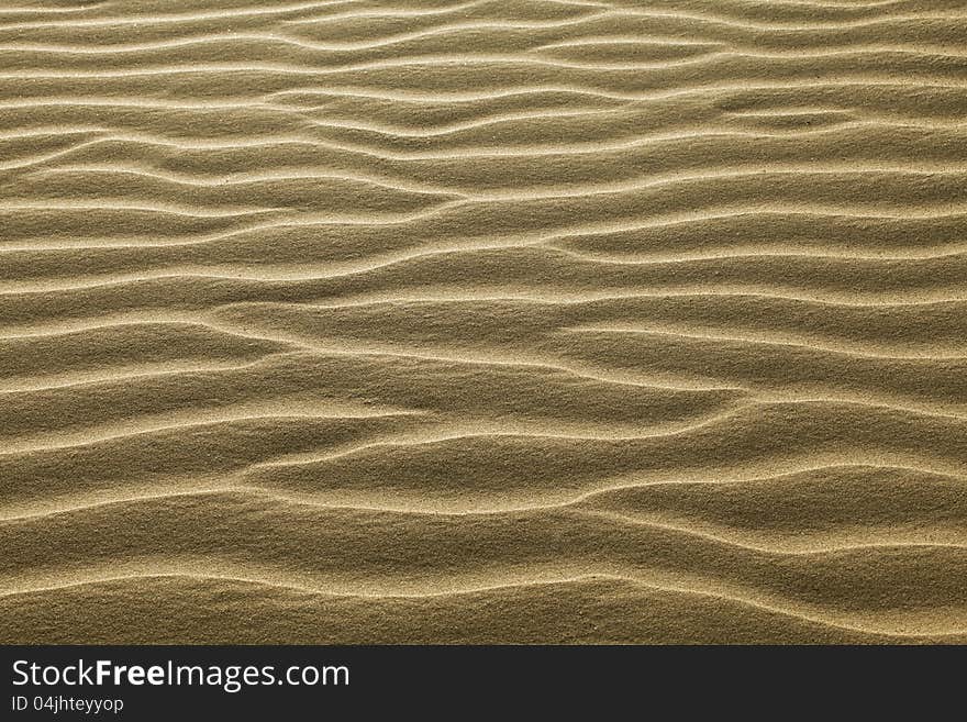 Texture of sand rippled with the wind. Texture of sand rippled with the wind