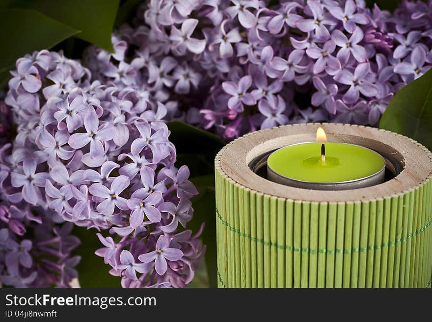 Aroma green candle and lilac. Aroma green candle and lilac