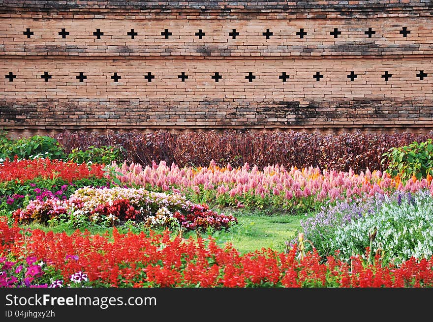 Flower garden in Chiangmai - northern Thailand