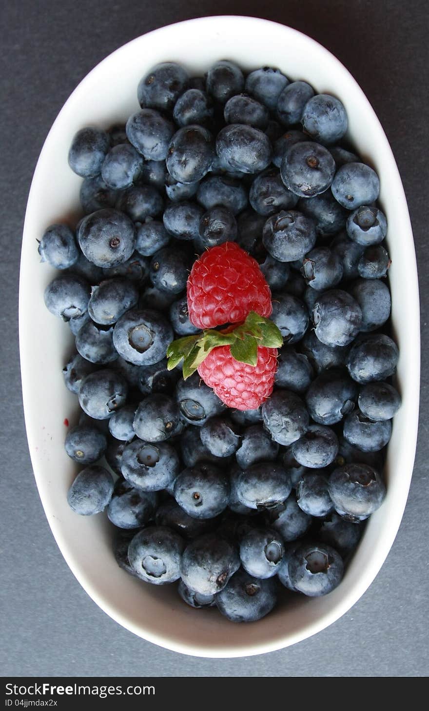 Ras berries with green stems and blue berries. Ras berries with green stems and blue berries