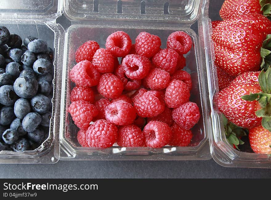 Ras berries with green stems and blue berries. Ras berries with green stems and blue berries