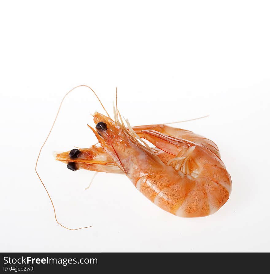 Shrimps close up on white background