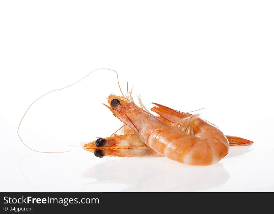 Shrimps close up on white background