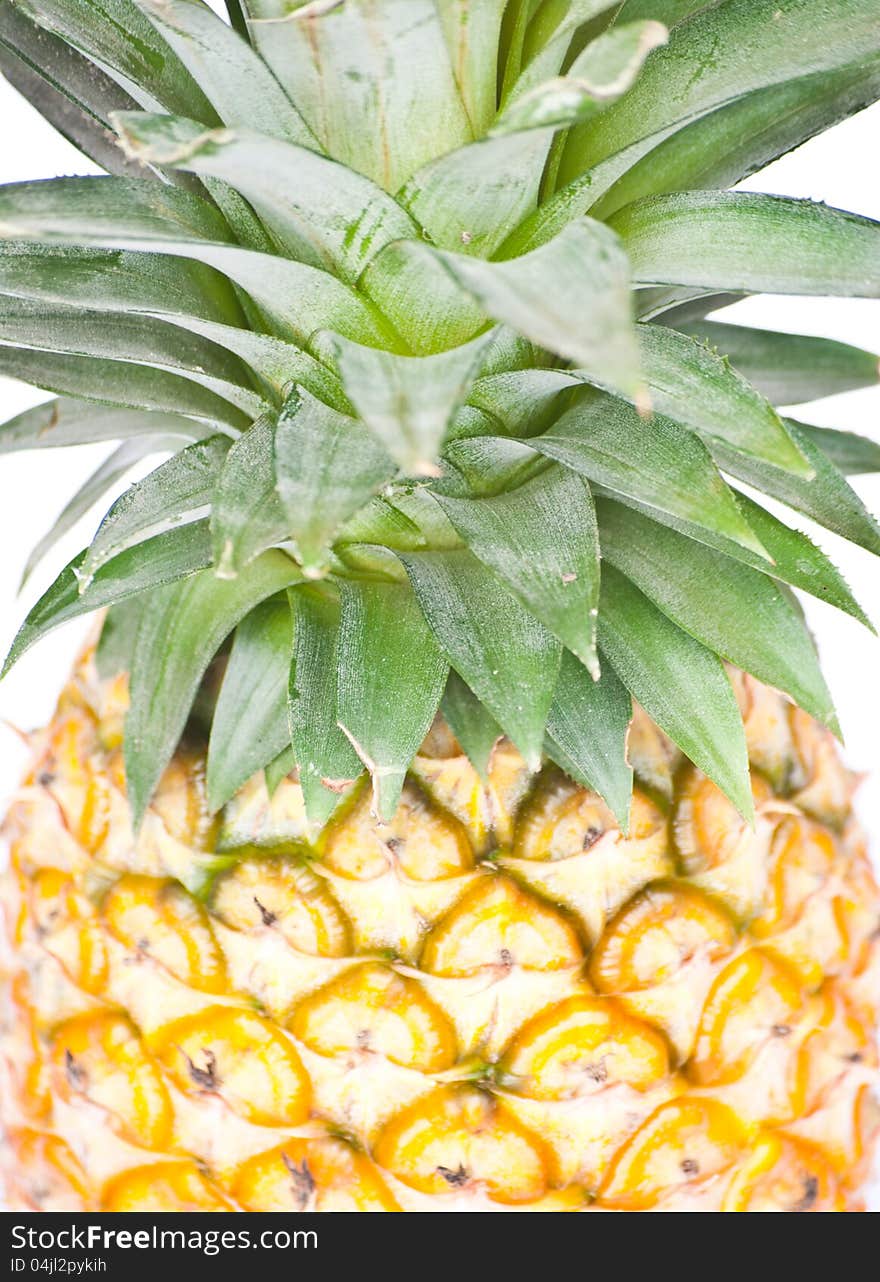 Tropical Fruit. Pineapple