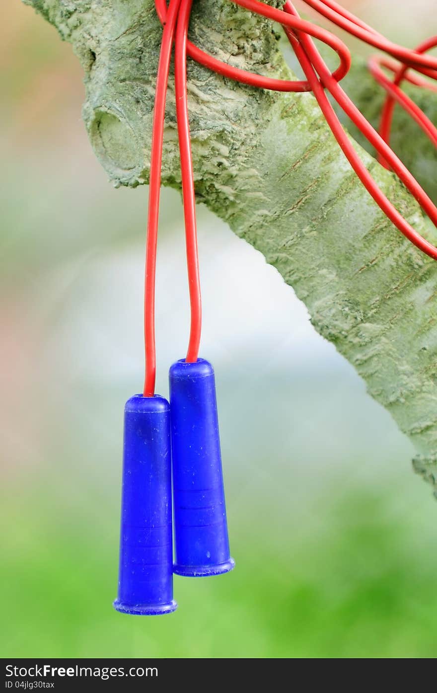 A plastic jump rope hanging on a tree in the garden. A plastic jump rope hanging on a tree in the garden