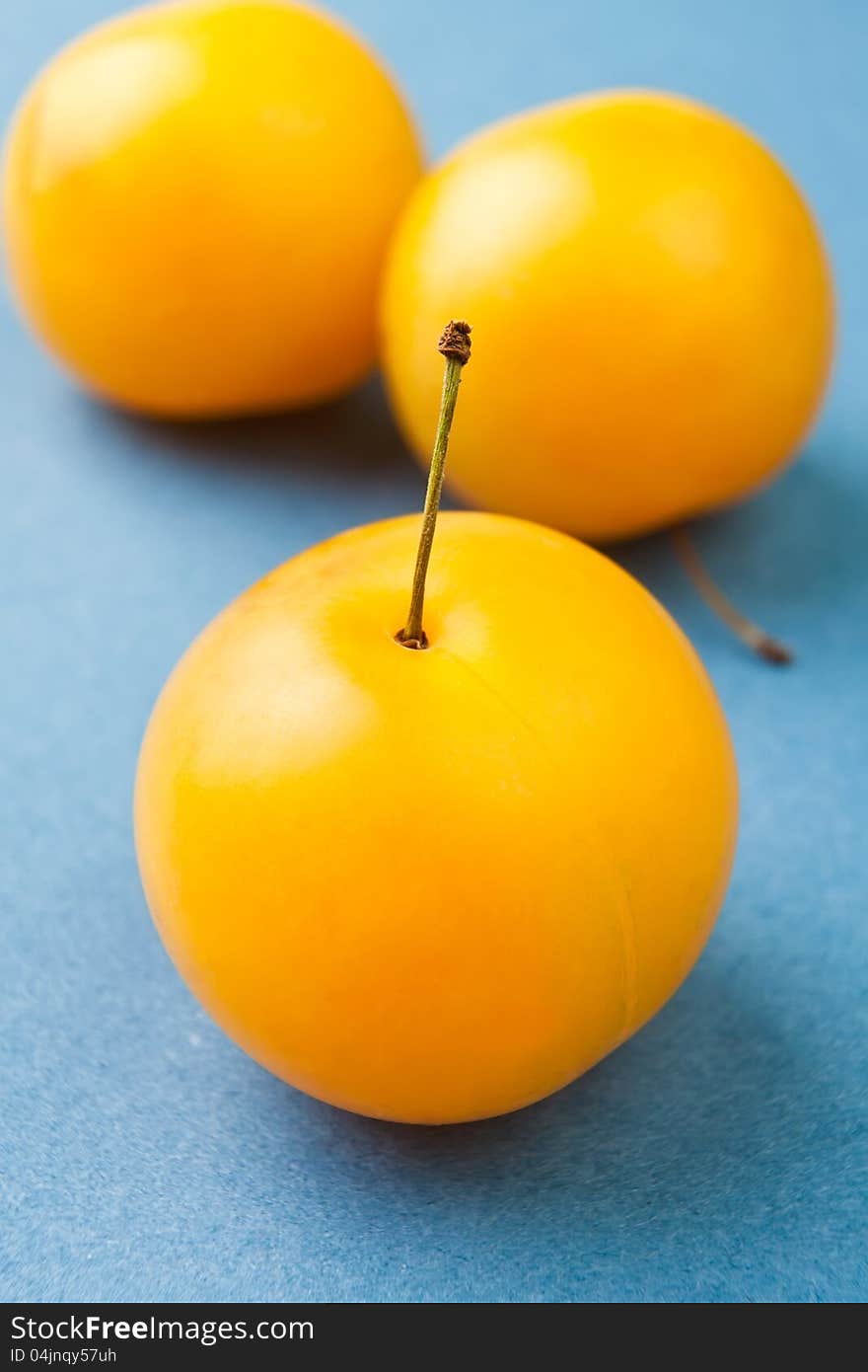 Plum group on blue background