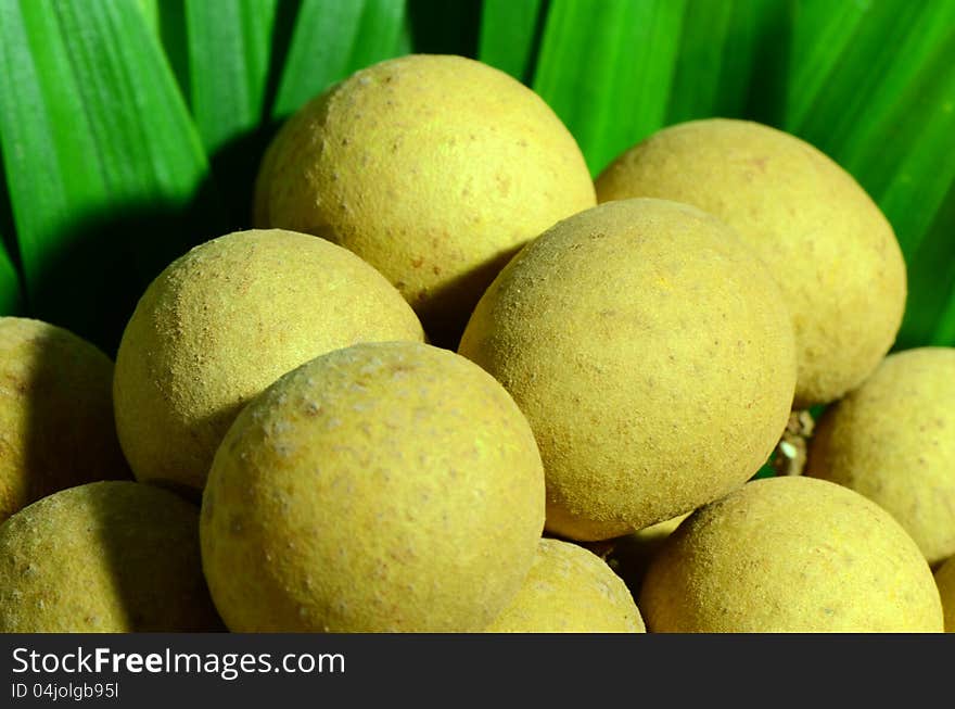 A closed-up scene of longan fruit with green leaves background. A closed-up scene of longan fruit with green leaves background.