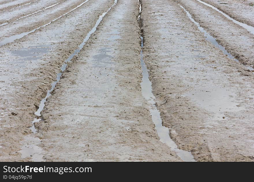 Sludge In Field