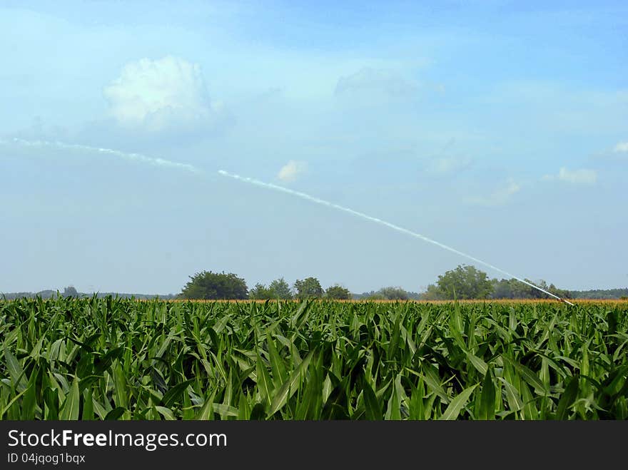 Pump Jet Watering A Corn Field