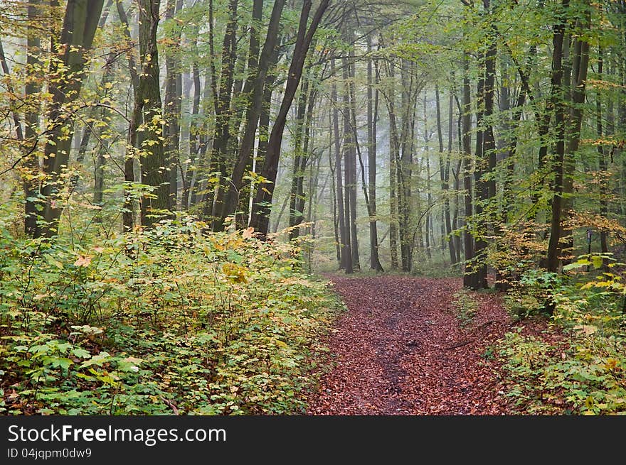 Cloudy Autumn Landscape - Horizontal