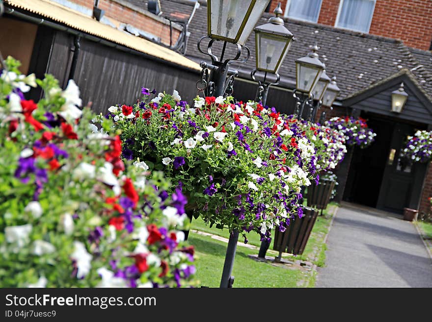 Photo of a row of beautiful highly scented flower hanging baskets display with victorian lamp posts. Photo of a row of beautiful highly scented flower hanging baskets display with victorian lamp posts.