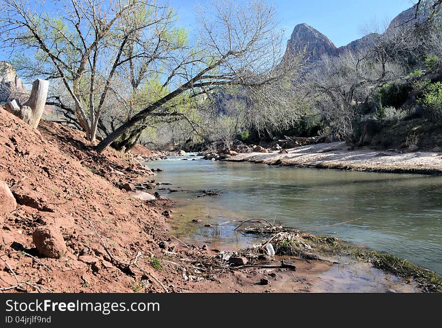 River, Trees And Mountains