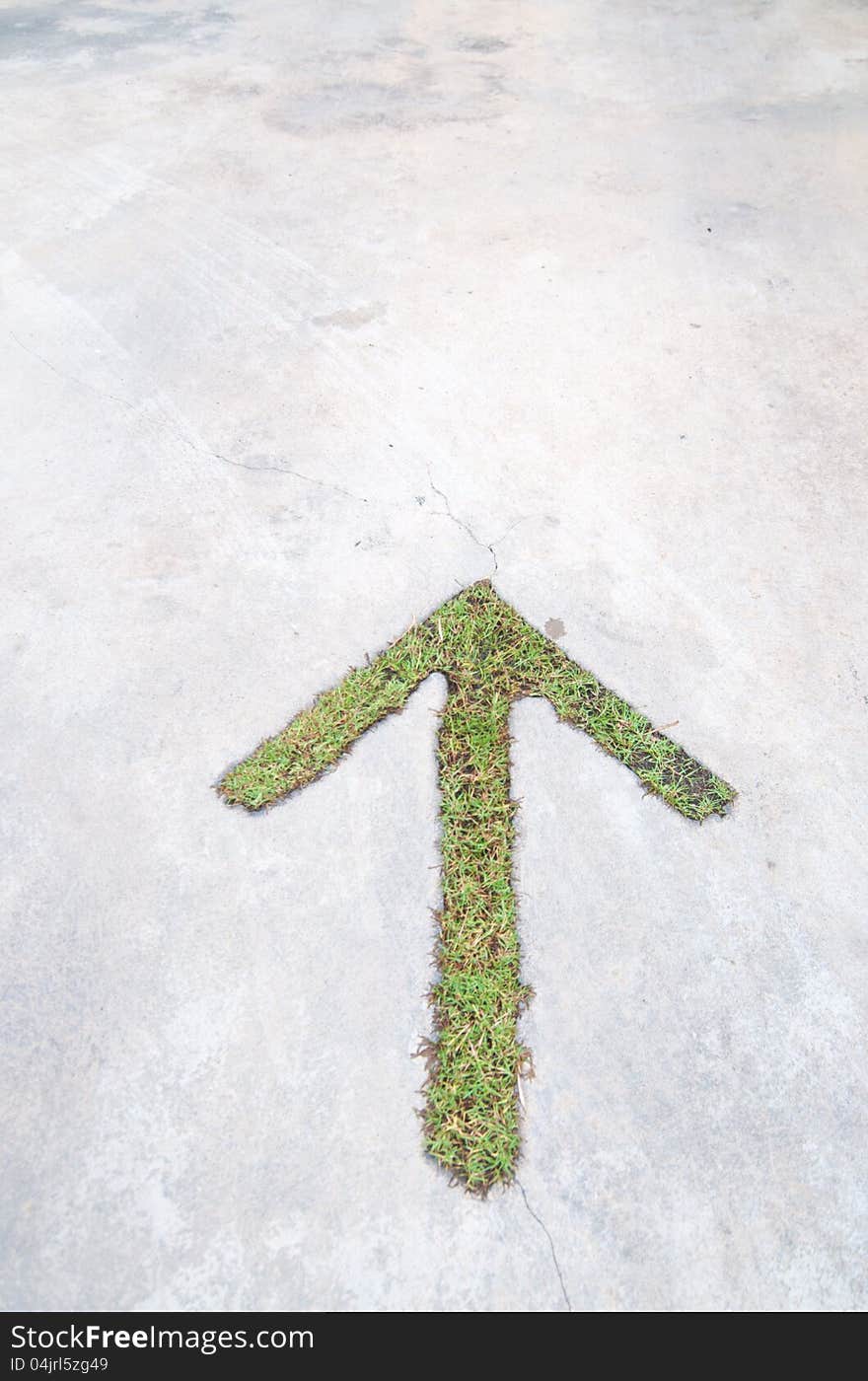 Arrow signs in road make from grass