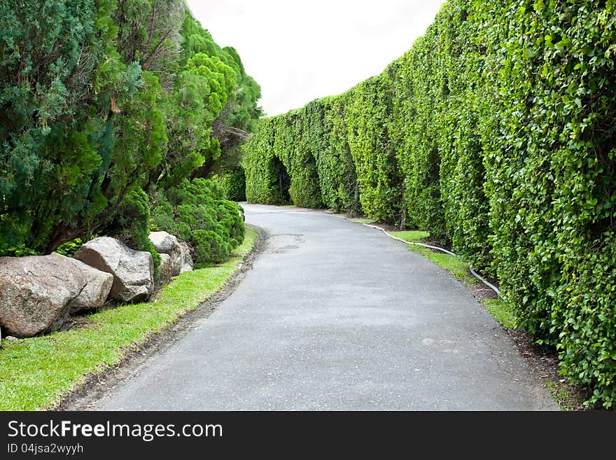 Beautiful park garden in spring