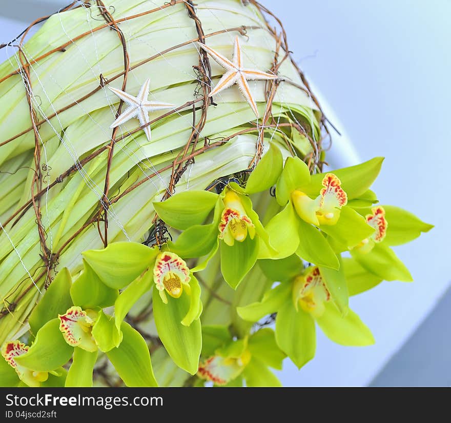 Decoration summer  orchid shoot in studio