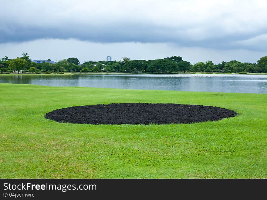 Beautiful park garden in spring