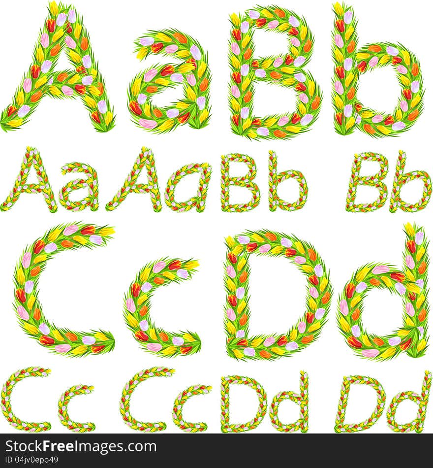 Font type letters A, B, C, D made from flower tulip with a different typeface: italic, bold, regular. Font type letters A, B, C, D made from flower tulip with a different typeface: italic, bold, regular