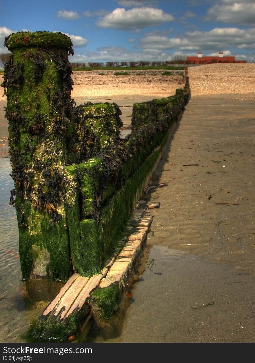 Seaweed covered beach breakwater beach groyn