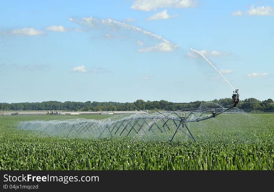 Watering Corn Crop