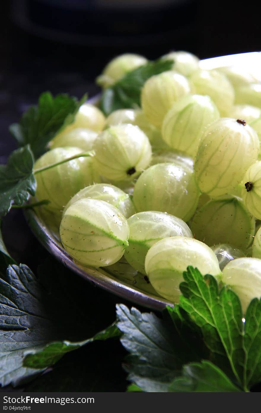 Image of gooseberry's in the sun light. Image of gooseberry's in the sun light