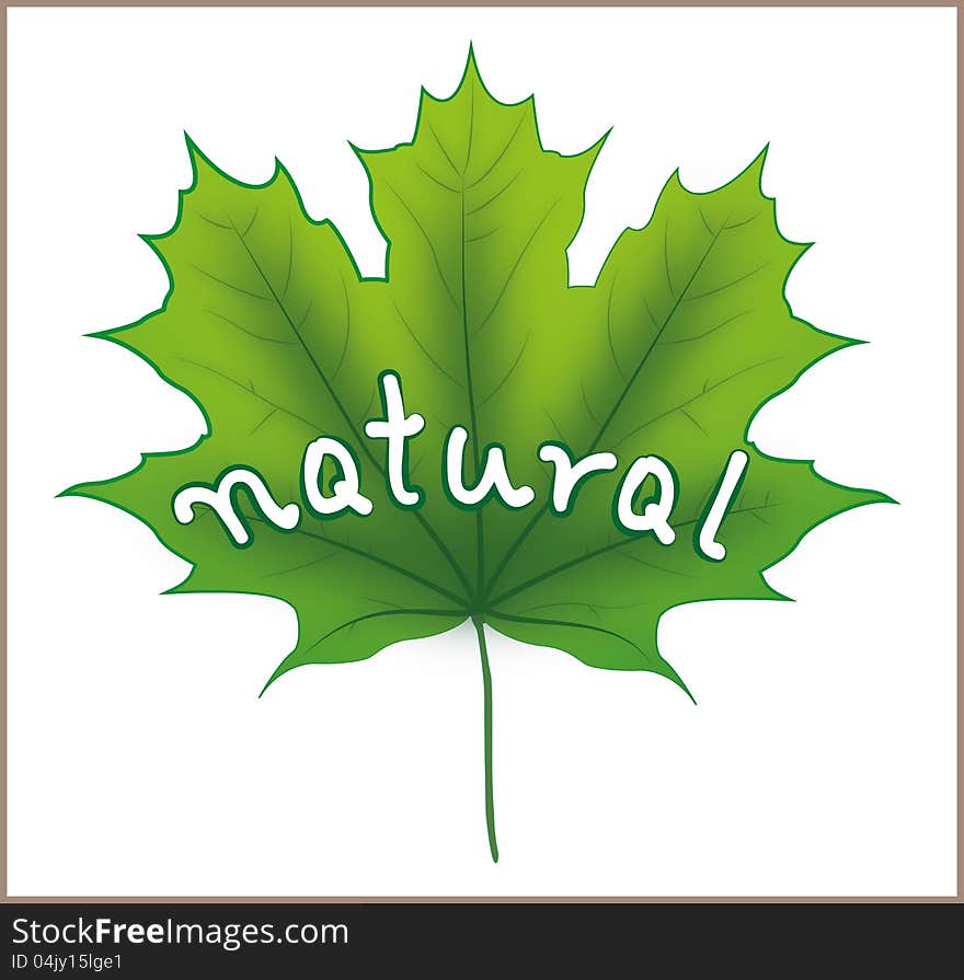 Green Maple Leaf with natural sign, perfect for u r pro-eco products. Green Maple Leaf with natural sign, perfect for u r pro-eco products