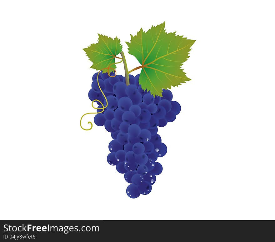 A bunch of blue grapes